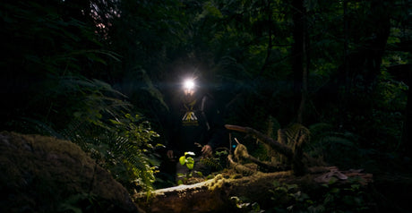 CLAYMORE BRAND FILM