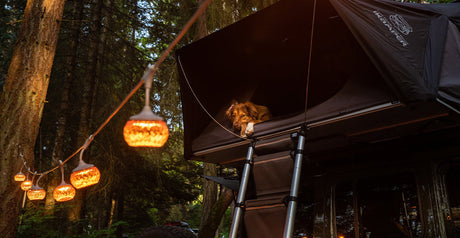 Illuminate Your Space With CADENA 7